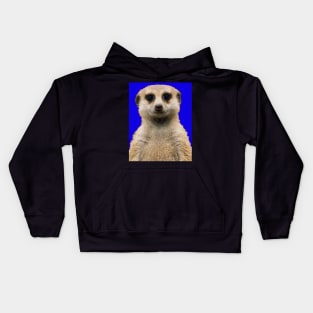 meerkat Kids Hoodie